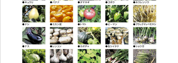 発酵野菜50種ブレンド